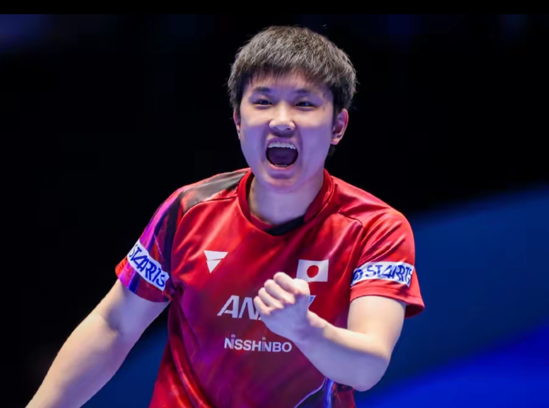 的历史高度 的历史高度