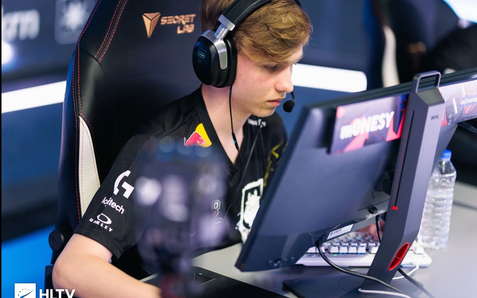 供了多样的 供了多样的